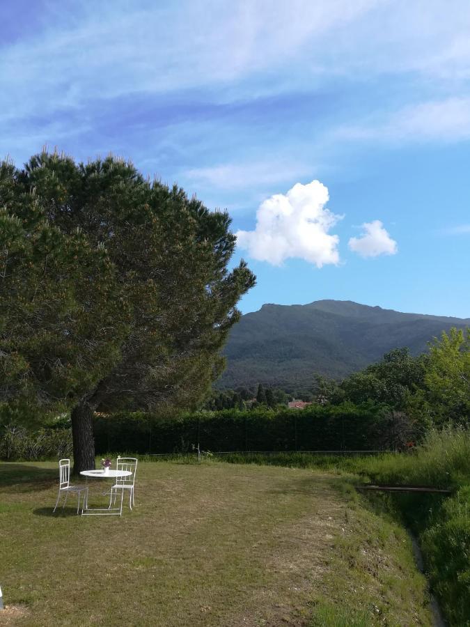 Le Quatorze Apartment Laroque-des-Albères Екстериор снимка